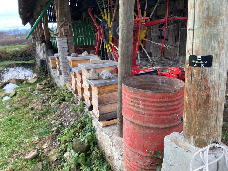 Bienenstand beim Rütihof in der Region Zug von der Imkerei Scherrer. In diesen Bienenstöcken lagern die Bienen den feinen Frühlingshonig und Sommerhonig aus der Region.