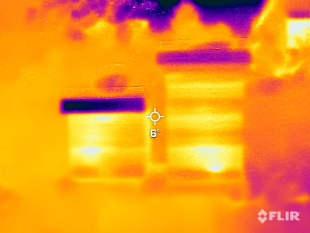 Das Verständnis der Bienenkommunikation in den kalten Monaten