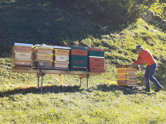 Bienenvölker machen Ferien
