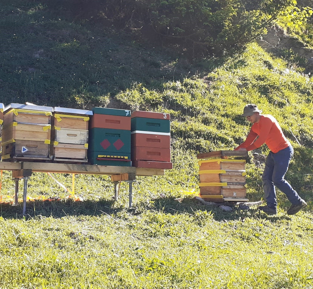 Bio-Honig vom Bienenstand Alpenrösli in Klosters (GR)